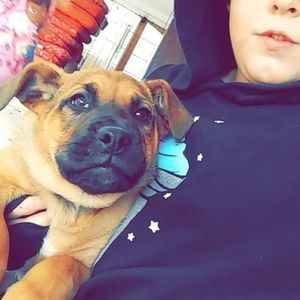 Meet your Posher, Jamie